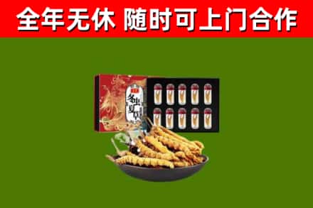 雨湖区烟酒回收冬虫夏草礼盒.jpg
